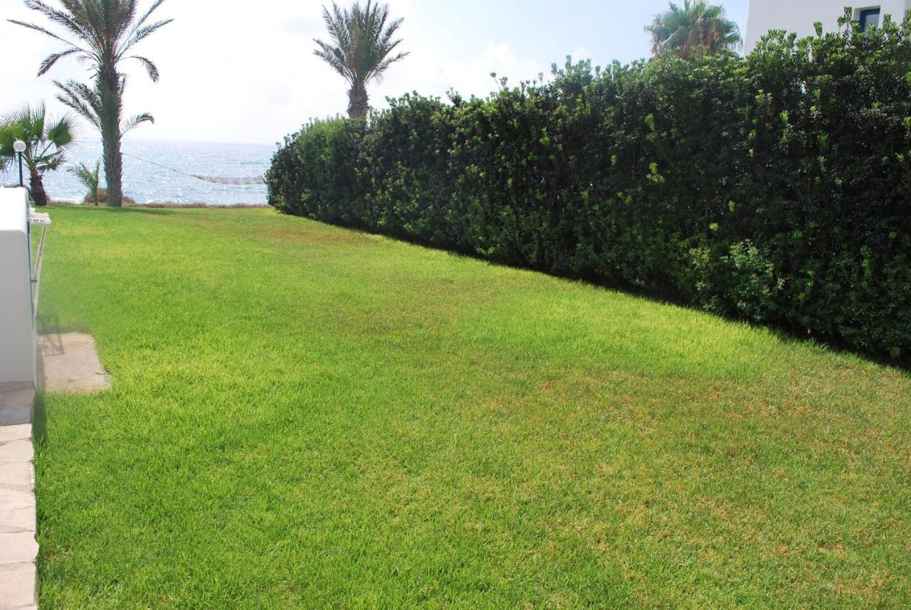 Sea Front Villa, Heated Private Pool, Amazing Location Paphos 323 Kissonerga Eksteriør bilde